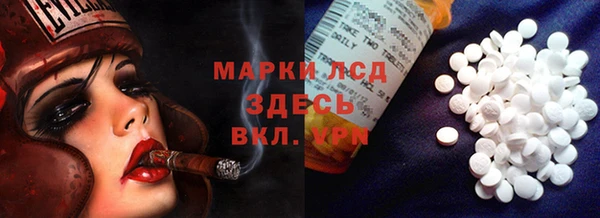 хмурый Алзамай