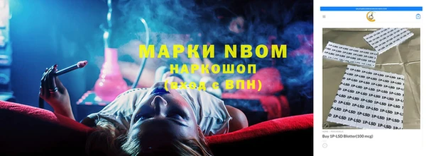 хмурый Алзамай