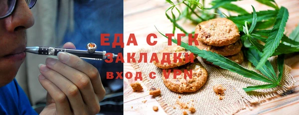 хмурый Алзамай