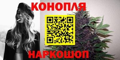 трава Кингисепп