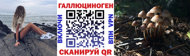 даркнет телеграм  Лесосибирск  Псилоцибиновые грибы Psilocybe  blacksprut tor 